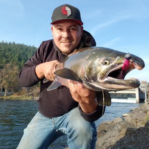 Meet your Posher, Darrell